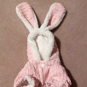 Snap Button Cute Dog Coat